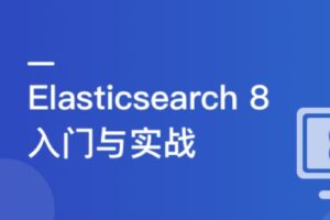 ES8搜索引擎从基础入门到深度原理，实现综合运用实战（网盘无密）-shaocun资源站