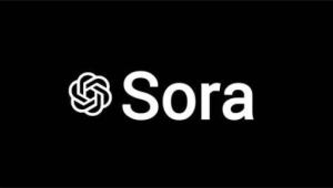 Sora-AI视频全网最全收集-shaocun资源站