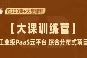 工业级PaaS云平台+SpringCloudAlibaba 综合项目实战 | 完结无密-shaocun资源站