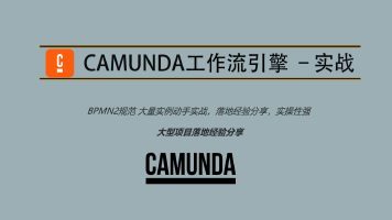 Camunda高级实战培训系列教程-shaocun资源站