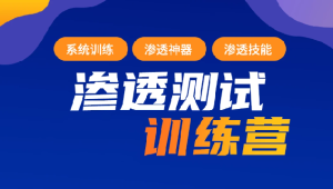 2023年最新渗透测试训练营：学习网络安全与漏洞赏金-shaocun资源站