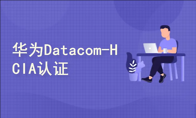 41小时华为HCIA-datacom认证课程-shaocun资源站