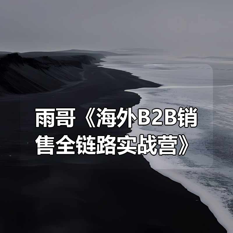 雨哥《海外B2B销售全链路实战营》|shaocun资源站 - 你的知识成长补给站