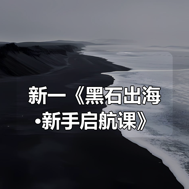 新一《黑石出海·新手启航课》|shaocun资源站 - 你的知识成长补给站