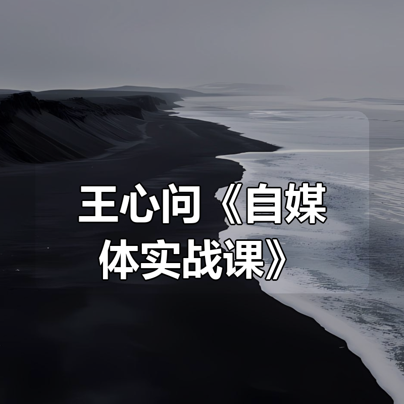 王心问《自媒体实战课》|shaocun资源站 - 你的知识成长补给站