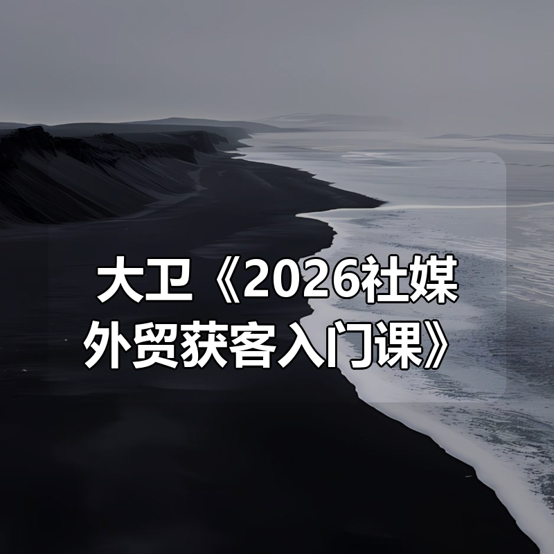 大卫《2026社媒外贸获客入门课》|shaocun资源站 - 你的知识成长补给站