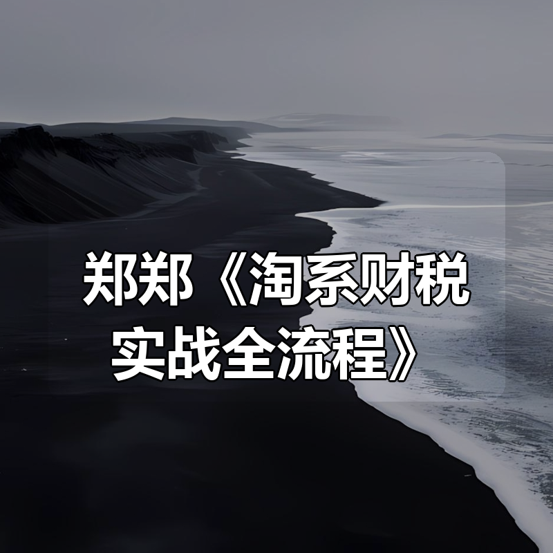 郑郑《淘系财税实战全流程》|shaocun资源站 - 你的知识成长补给站