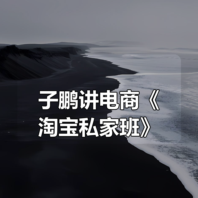 子鹏讲电商《淘宝私家班》|shaocun资源站 - 你的知识成长补给站