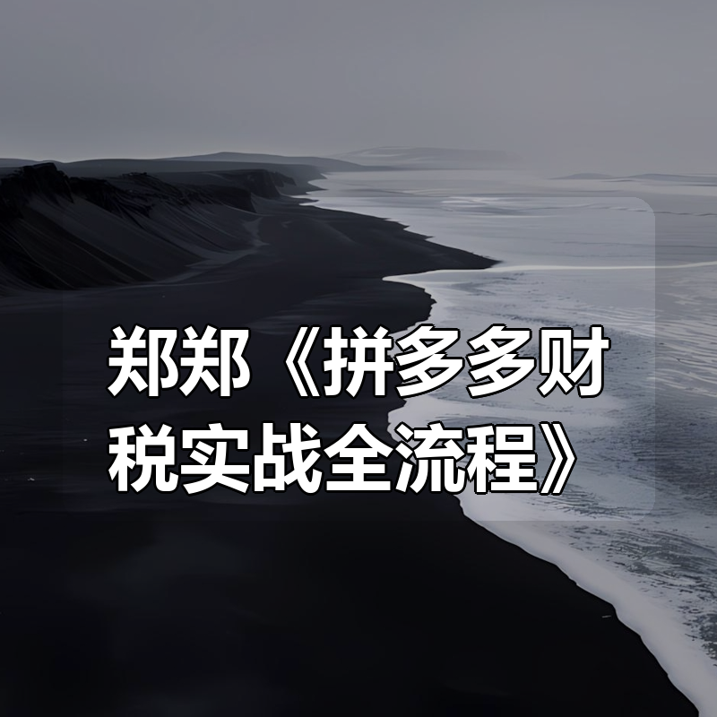 郑郑《拼多多财税实战全流程》|shaocun资源站 - 你的知识成长补给站