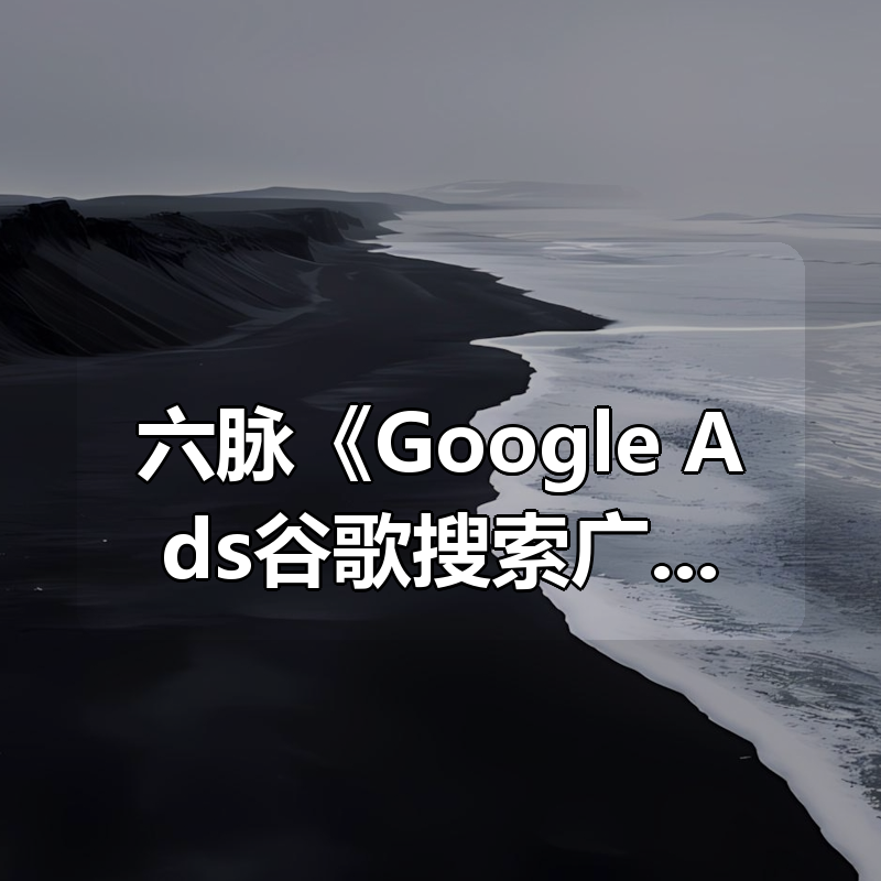 六脉《Google Ads谷歌搜索广告投放教程》|shaocun资源站 - 你的知识成长补给站