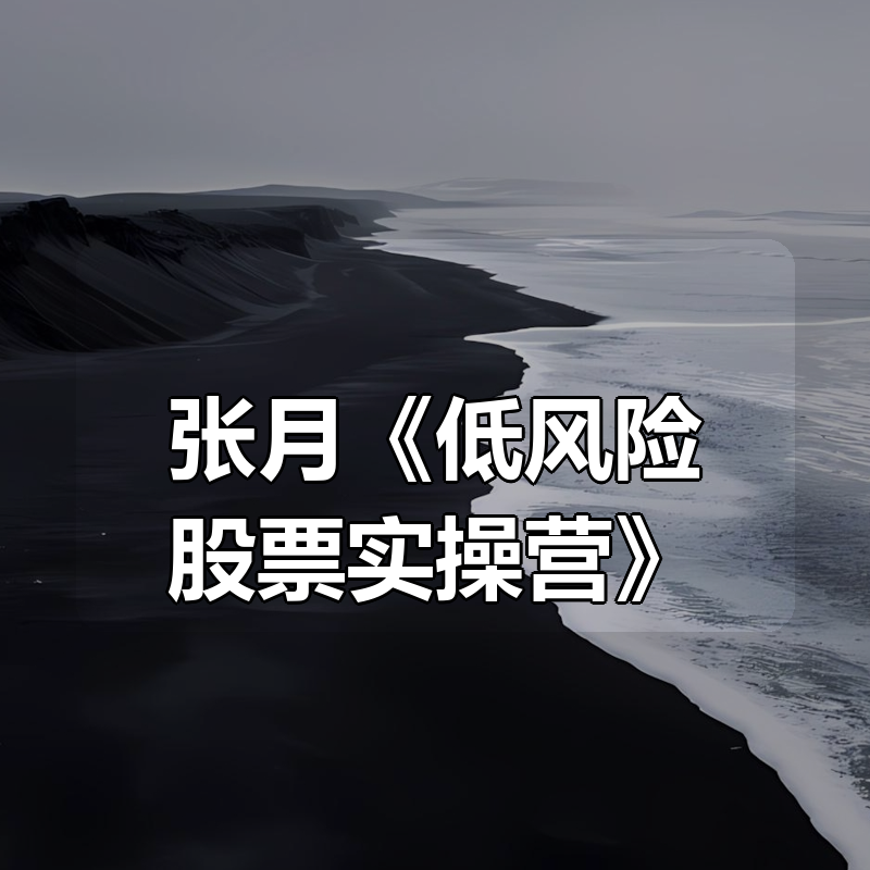 张月《低风险股票实操营》|shaocun资源站 - 你的知识成长补给站