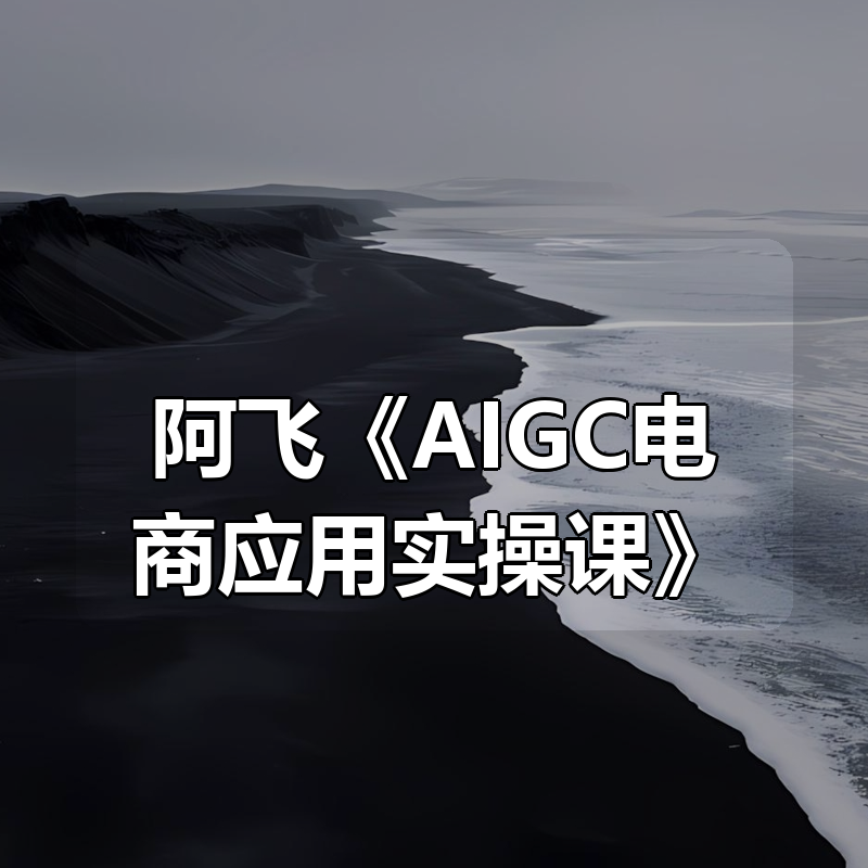 阿飞《AIGC电商应用实操课（加更DeepSeek）》|shaocun资源站 - 你的知识成长补给站