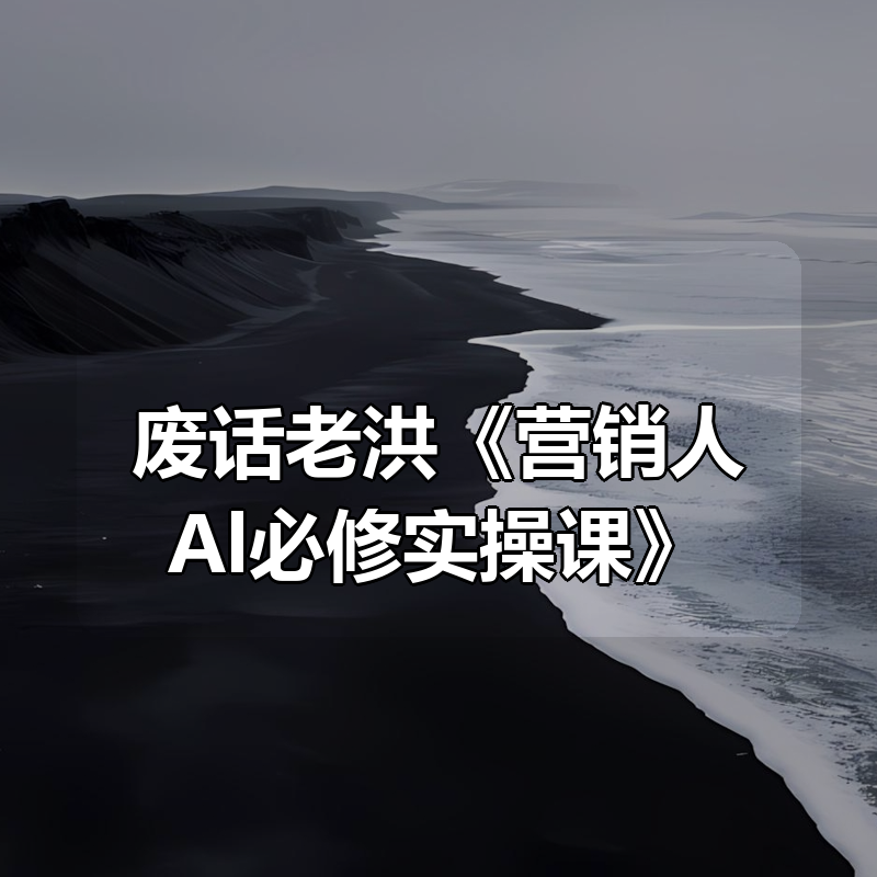废话老洪《营销人Al必修实操课》|shaocun资源站 - 你的知识成长补给站