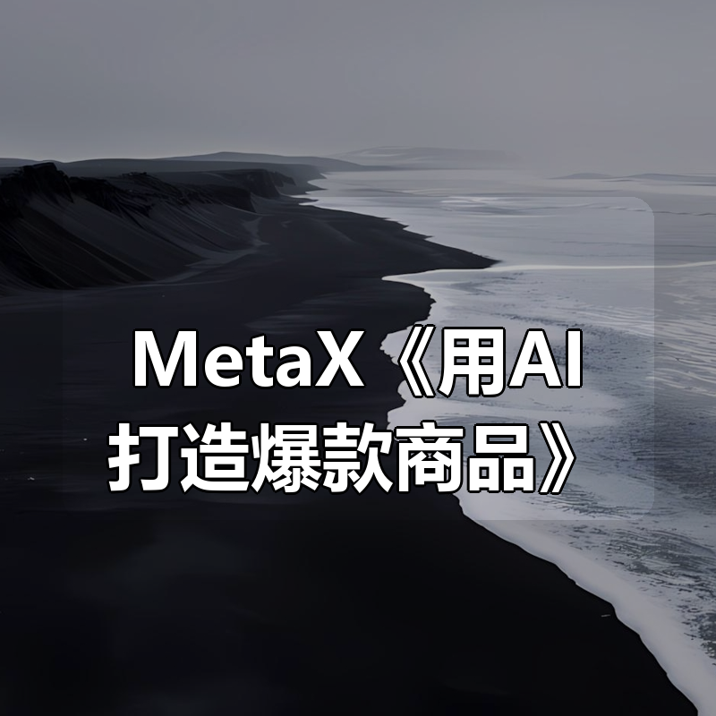 MetaX《用AI打造爆款商品》|shaocun资源站 - 你的知识成长补给站