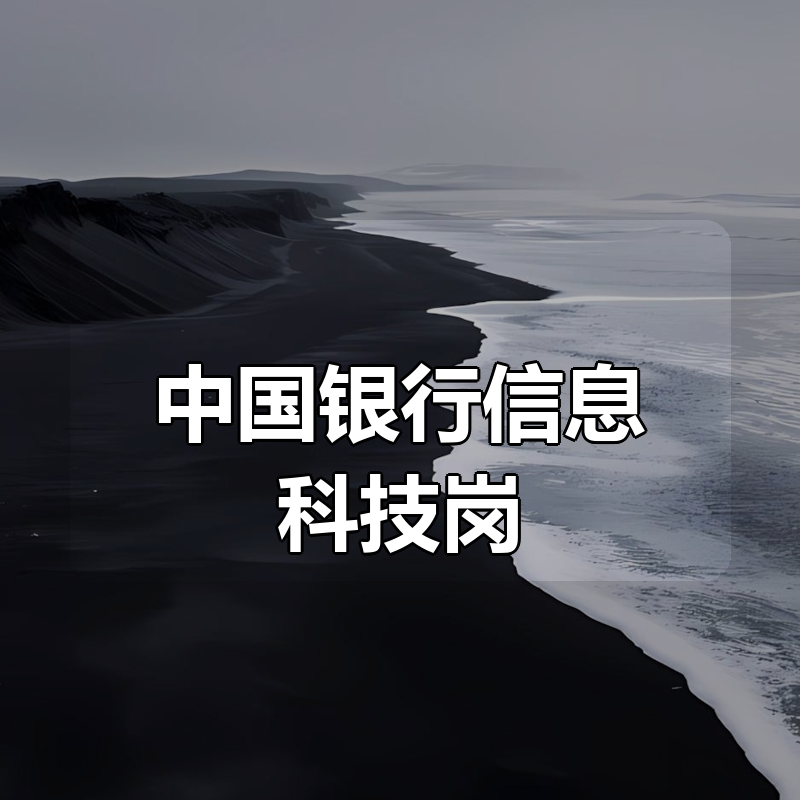 中国银行信息科技岗|shaocun资源站 - 你的知识成长补给站