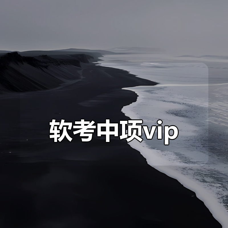 软考中项vip合集|shaocun资源站 - 你的知识成长补给站