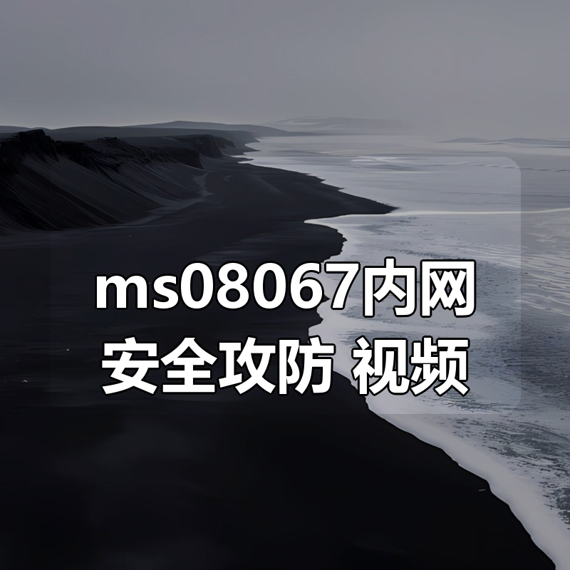 ms08067内网安全攻防 视频|shaocun资源站 - 你的知识成长补给站