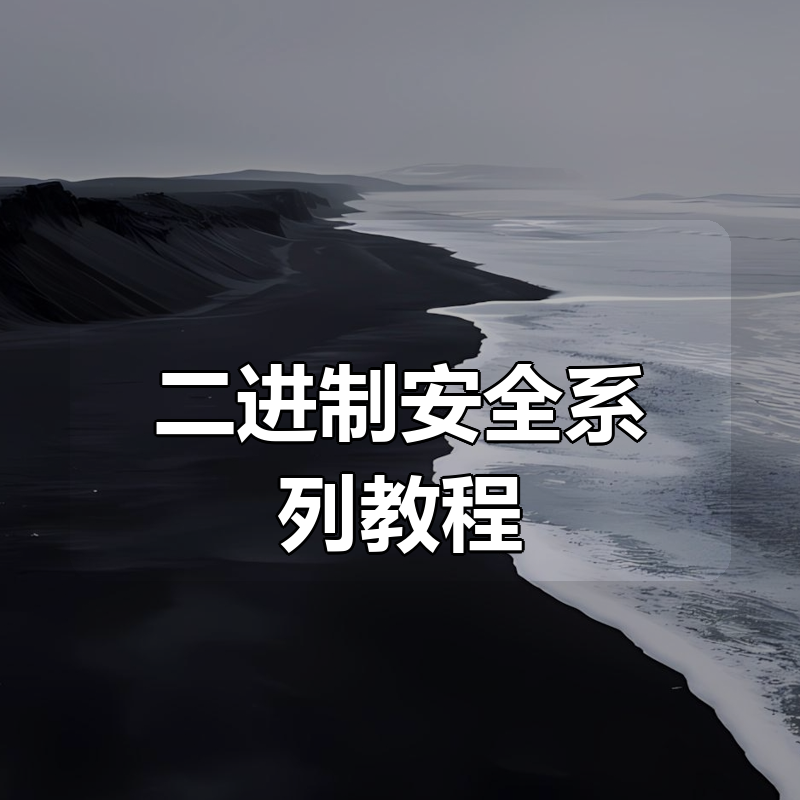 二进制安全系列教程|shaocun资源站 - 你的知识成长补给站