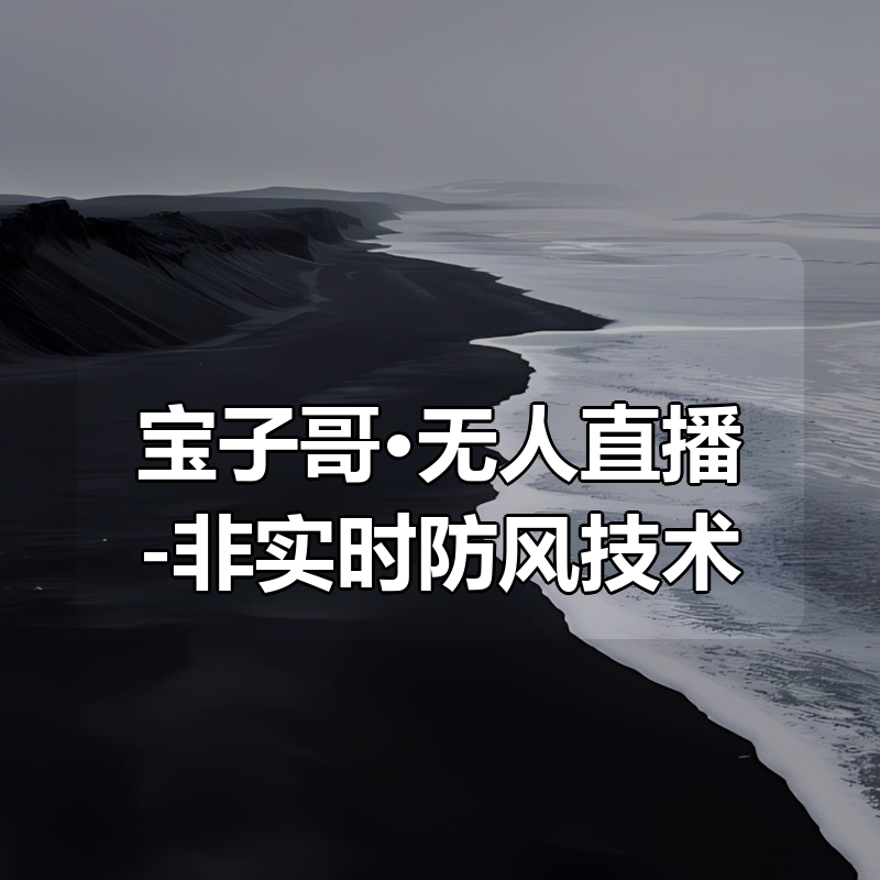 宝子哥·无人直播-非实时防风技术（更新3月）|shaocun资源站 - 你的知识成长补给站