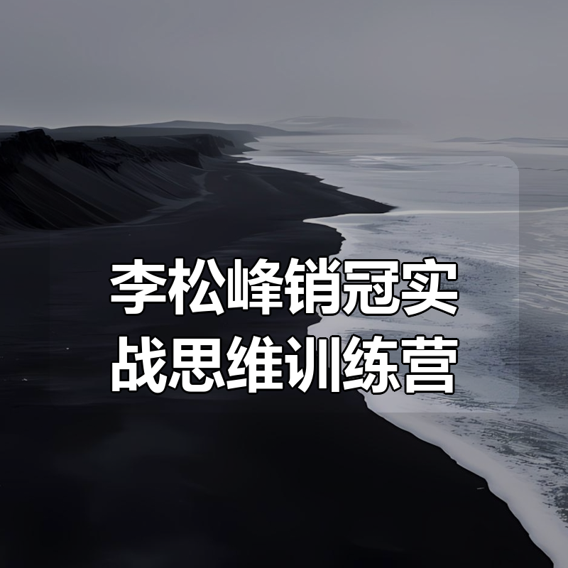 李松峰销冠实战思维训练营|shaocun资源站 - 你的知识成长补给站