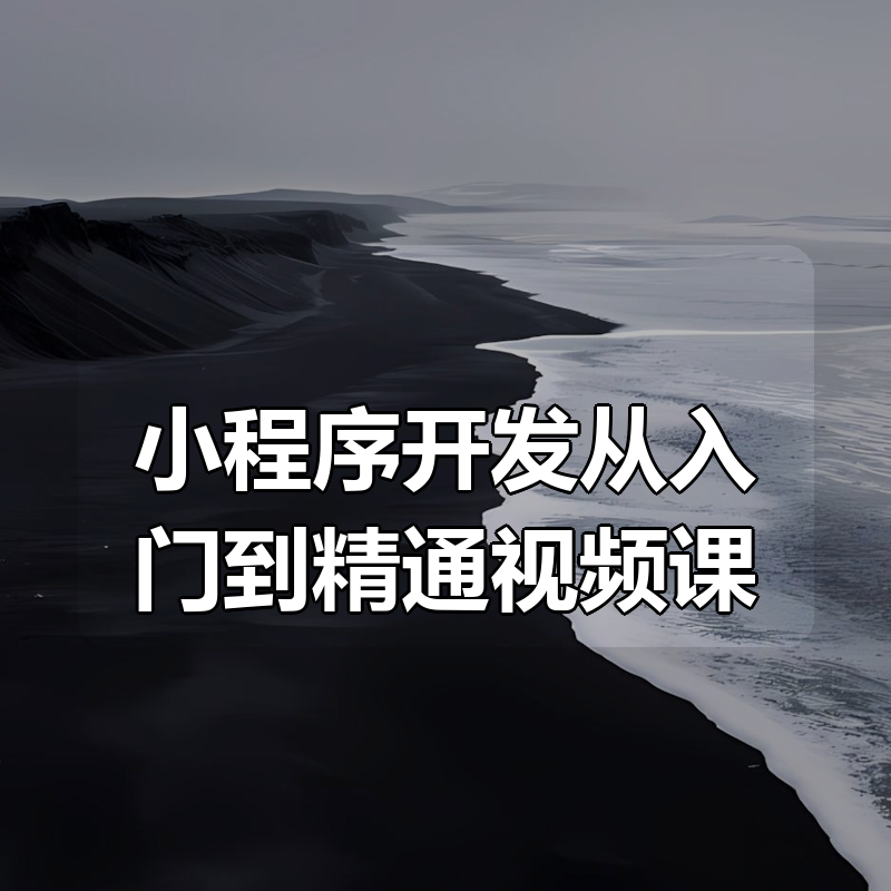小程序开发从入门到精通视频课|shaocun资源站 - 你的知识成长补给站
