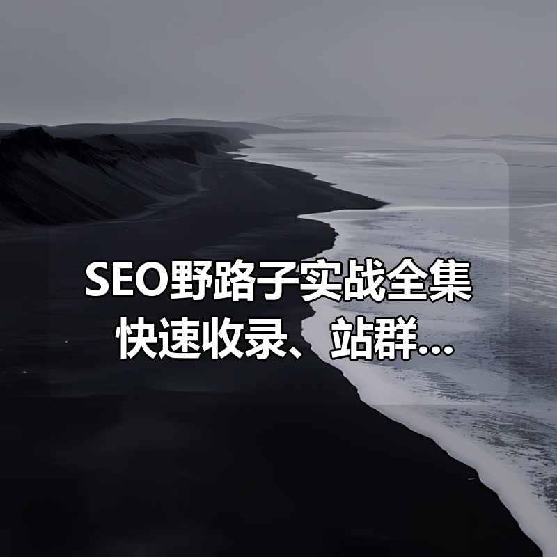 SEO野路子实战全集：快速收录、站群霸屏、黑帽技术（更新）|shaocun资源站 - 你的知识成长补给站
