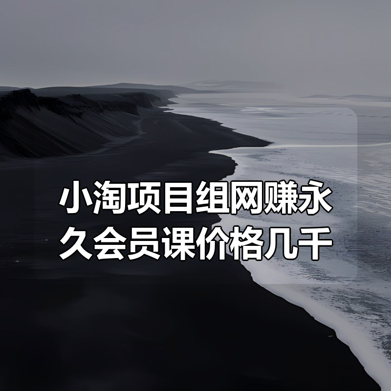 小淘项目组网赚永久会员课价格几千（更新12月）|shaocun资源站 - 你的知识成长补给站