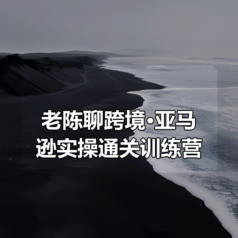 老陈聊跨境·亚马逊实操通关训练营（更新3月）|shaocun资源站 - 你的知识成长补给站