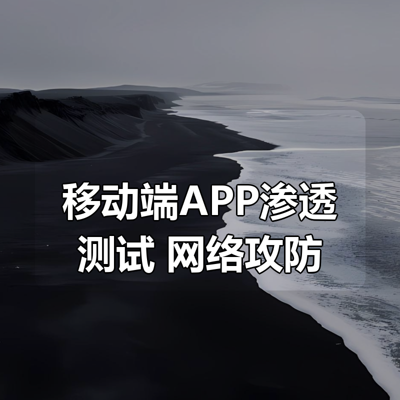 移动端APP渗透测试 网络攻防（价值199元）|shaocun资源站 - 你的知识成长补给站