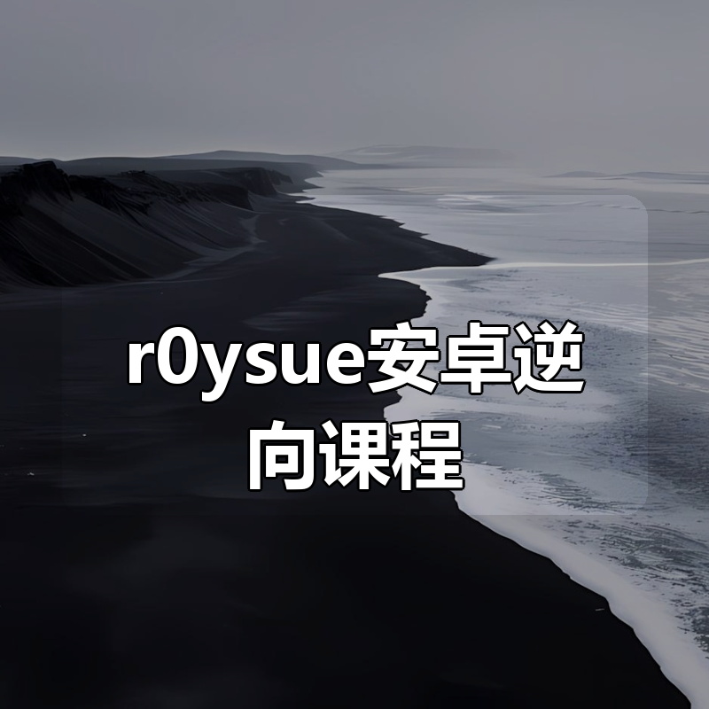 r0ysue(肉丝)安卓逆向课程合集|shaocun资源站 - 你的知识成长补给站