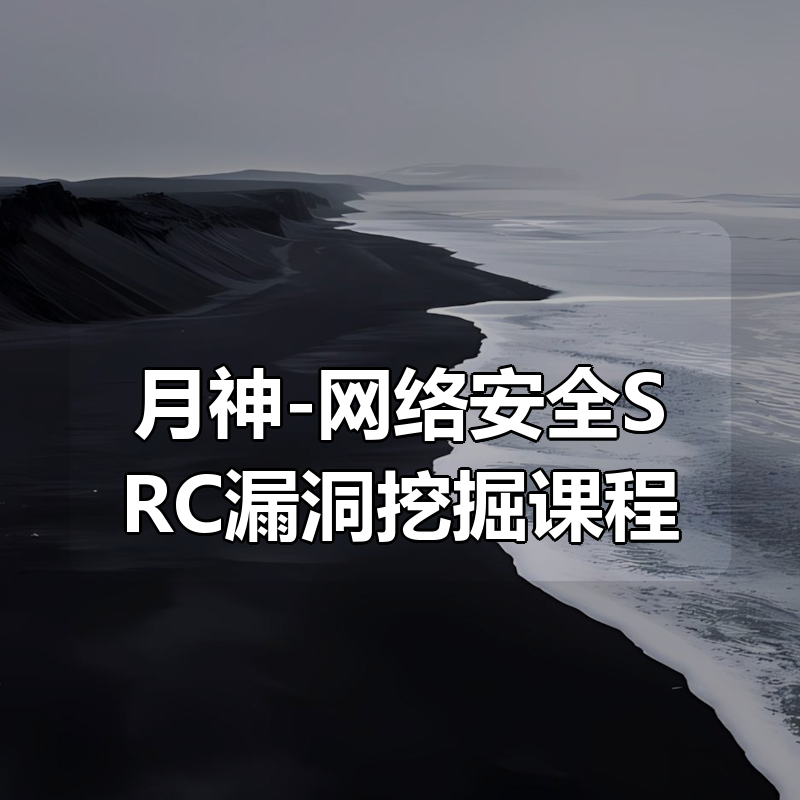 月神-网络安全SRC漏洞挖掘课程|shaocun资源站 - 你的知识成长补给站