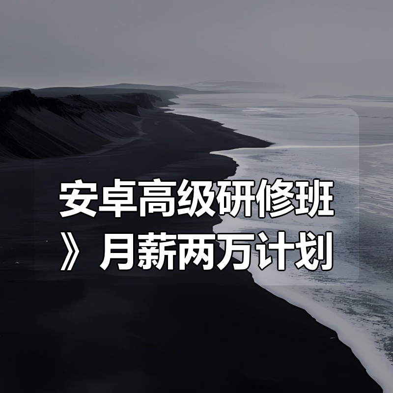 《安卓高级研修班(网课)》月薪两万计划|shaocun资源站 - 你的知识成长补给站