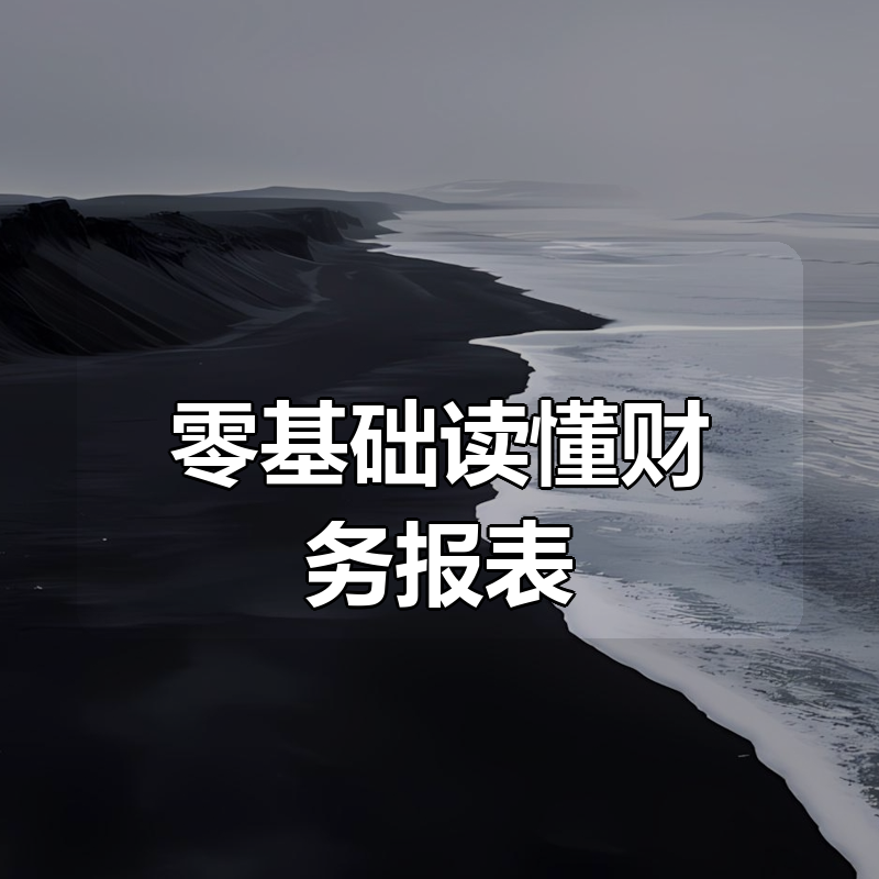 零基础读懂财务报表！|shaocun资源站 - 你的知识成长补给站