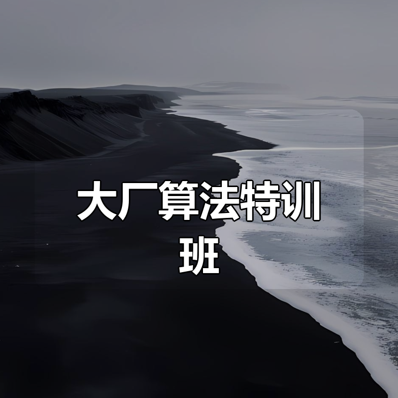 大厂算法特训班|shaocun资源站 - 你的知识成长补给站