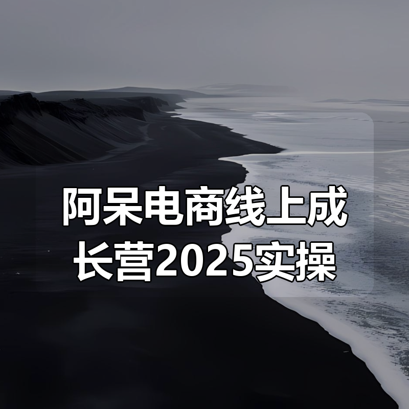 阿呆电商线上成长营2025实操|shaocun资源站 - 你的知识成长补给站