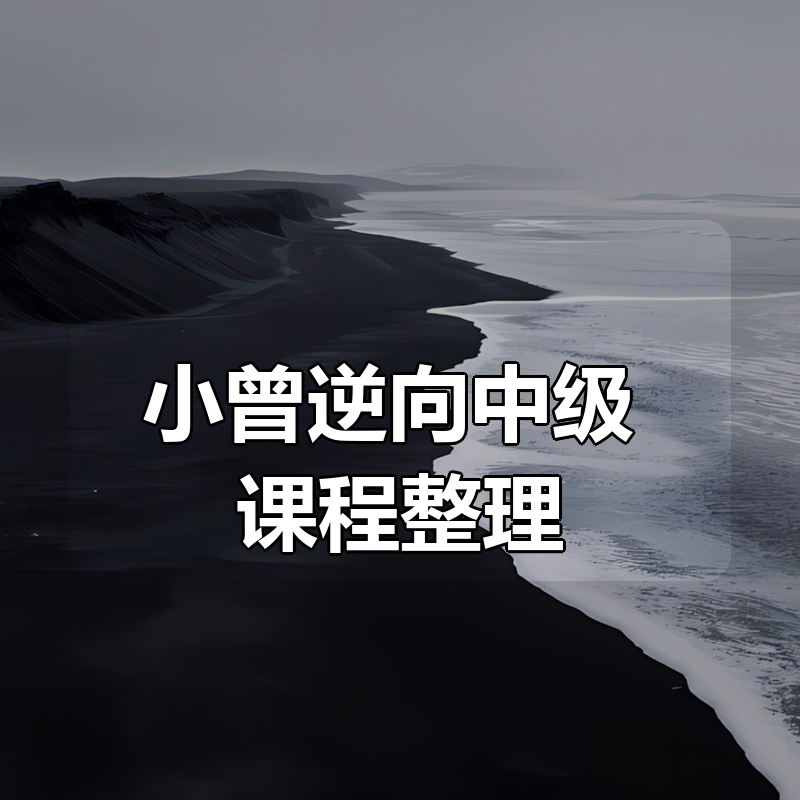 小曾逆向中级 课程整理|shaocun资源站 - 你的知识成长补给站