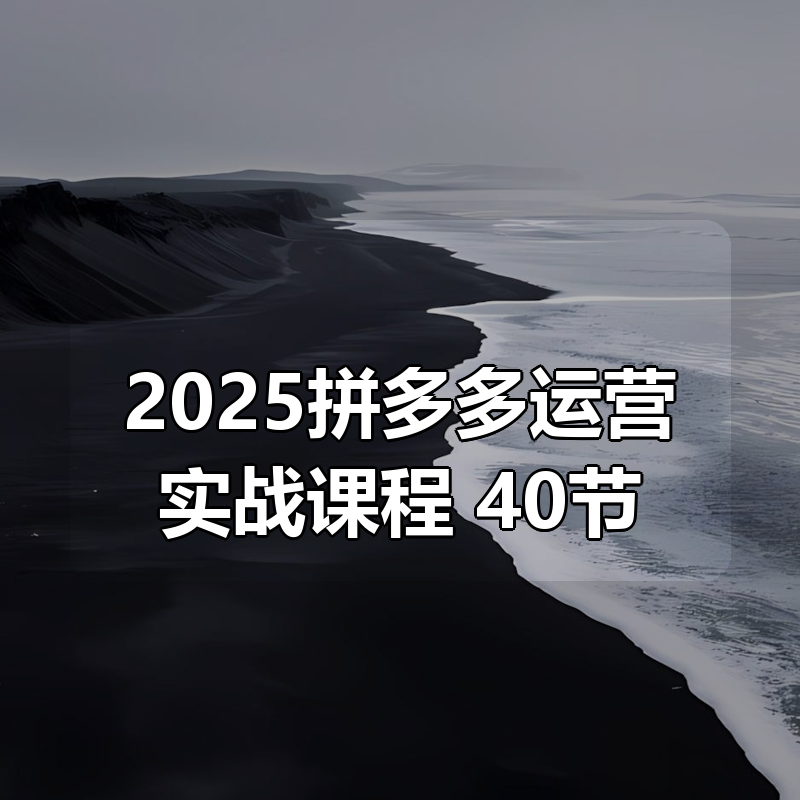 2025拼多多运营实战课程 40节|shaocun资源站 - 你的知识成长补给站