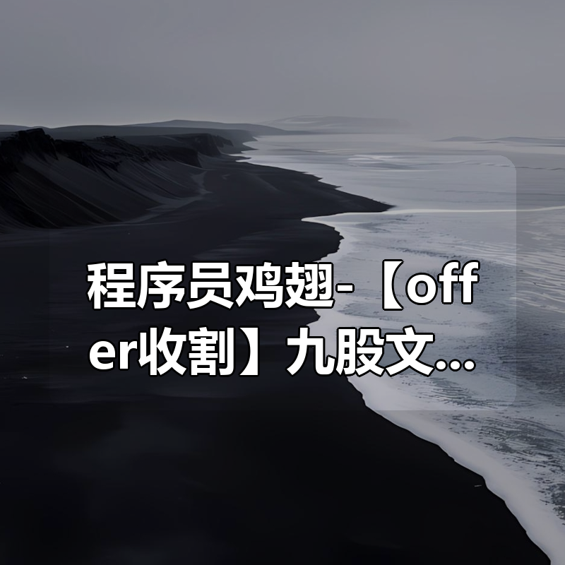 程序员鸡翅-【offer收割】九股文vip2|shaocun资源站 - 你的知识成长补给站