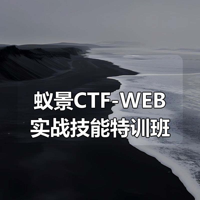 蚁景CTF-WEB实战技能特训班|shaocun资源站 - 你的知识成长补给站