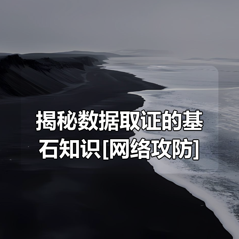 揭秘数据取证的基石知识[网络攻防]|shaocun资源站 - 你的知识成长补给站