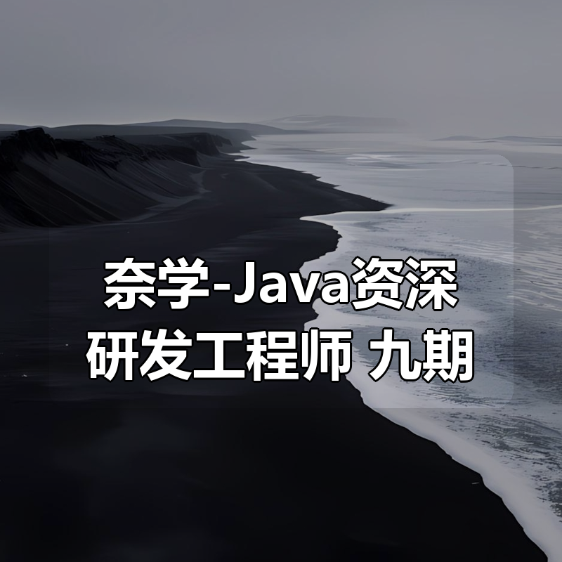 奈学-Java资深研发工程师 九期|shaocun资源站 - 你的知识成长补给站
