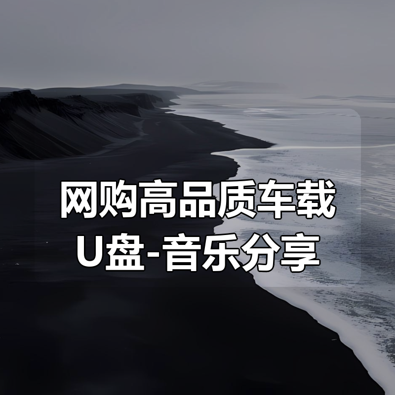 网购高品质车载U盘-音乐合集分享|shaocun资源站 - 你的知识成长补给站