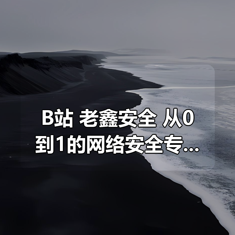 B站 老鑫安全 从0到1的网络安全专家之路 二进制安全和Web安全|shaocun资源站 - 你的知识成长补给站