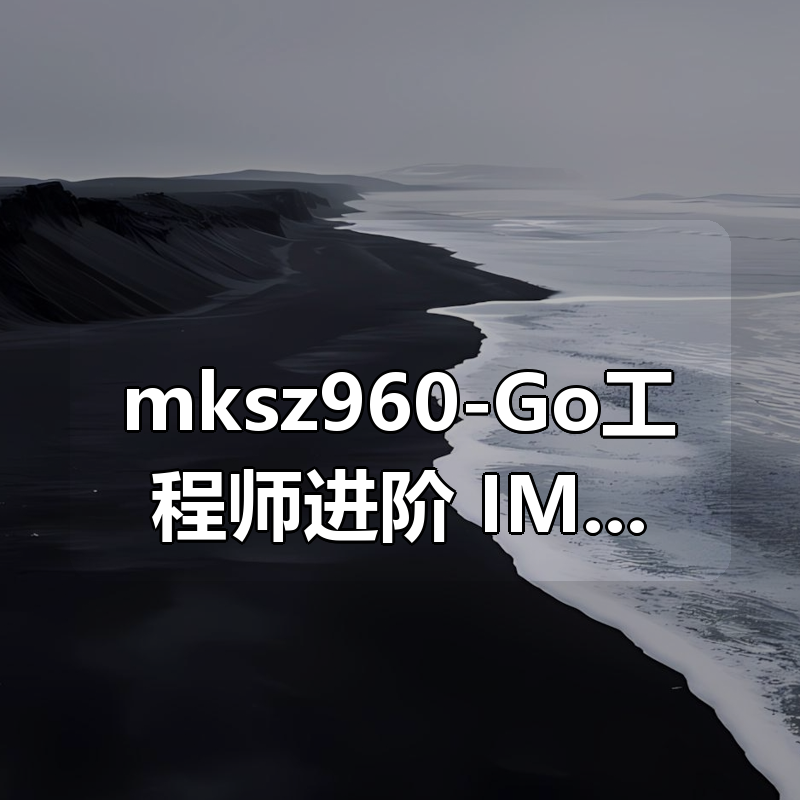 mksz960-Go工程师进阶 IM系统架构设计与落地|shaocun资源站 - 你的知识成长补给站