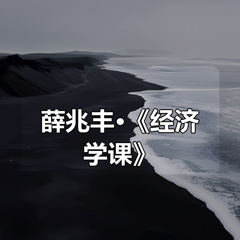 薛兆丰·《经济学课》（完结）|shaocun资源站 - 你的知识成长补给站