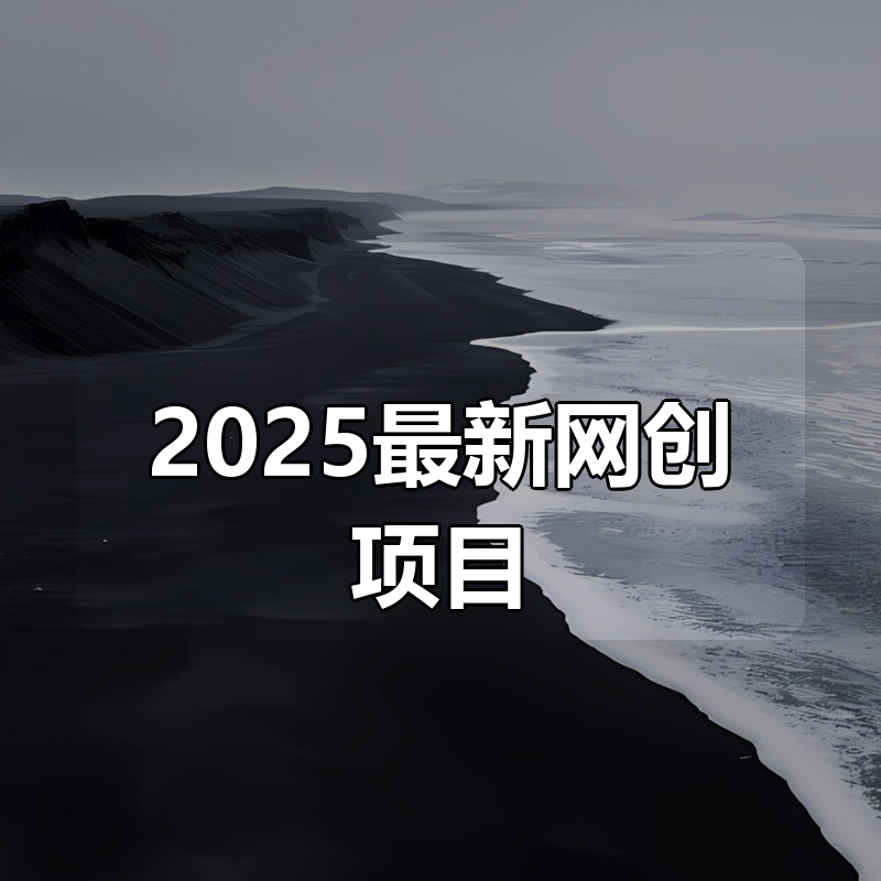 2025最新网创项目合集