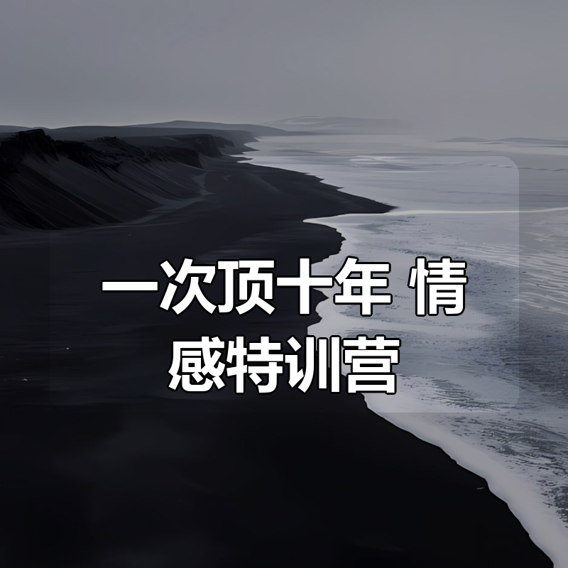 一次顶十年 情感特训营|shaocun资源站 - 你的知识成长补给站