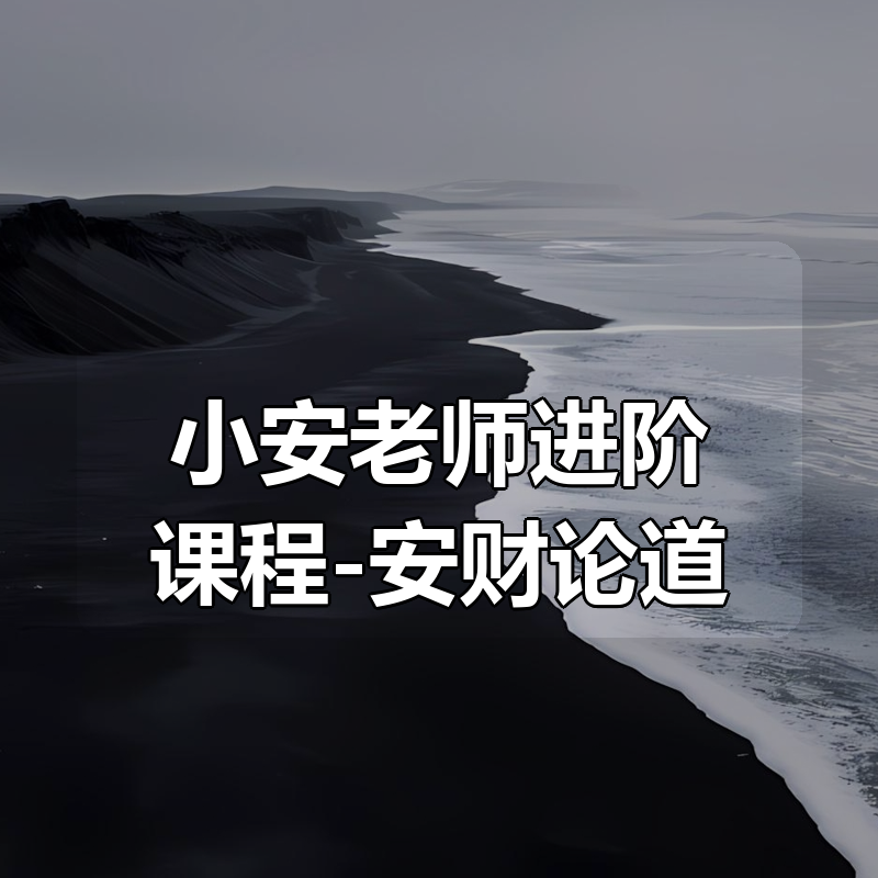 小安老师进阶课程-安财论道|shaocun资源站 - 你的知识成长补给站