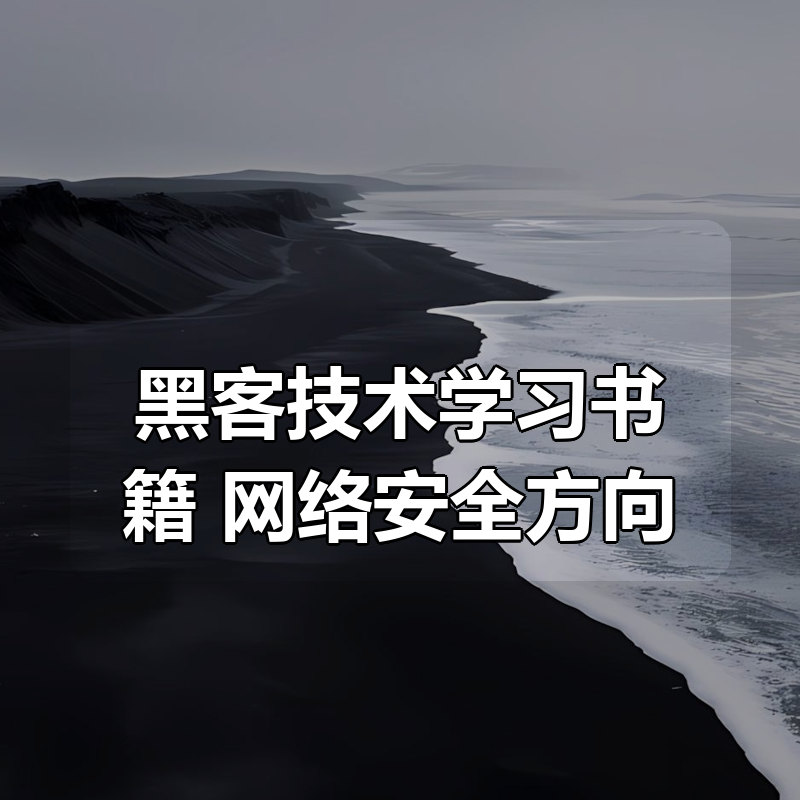 黑客技术学习书籍大合集 网络安全方向|shaocun资源站 - 你的知识成长补给站