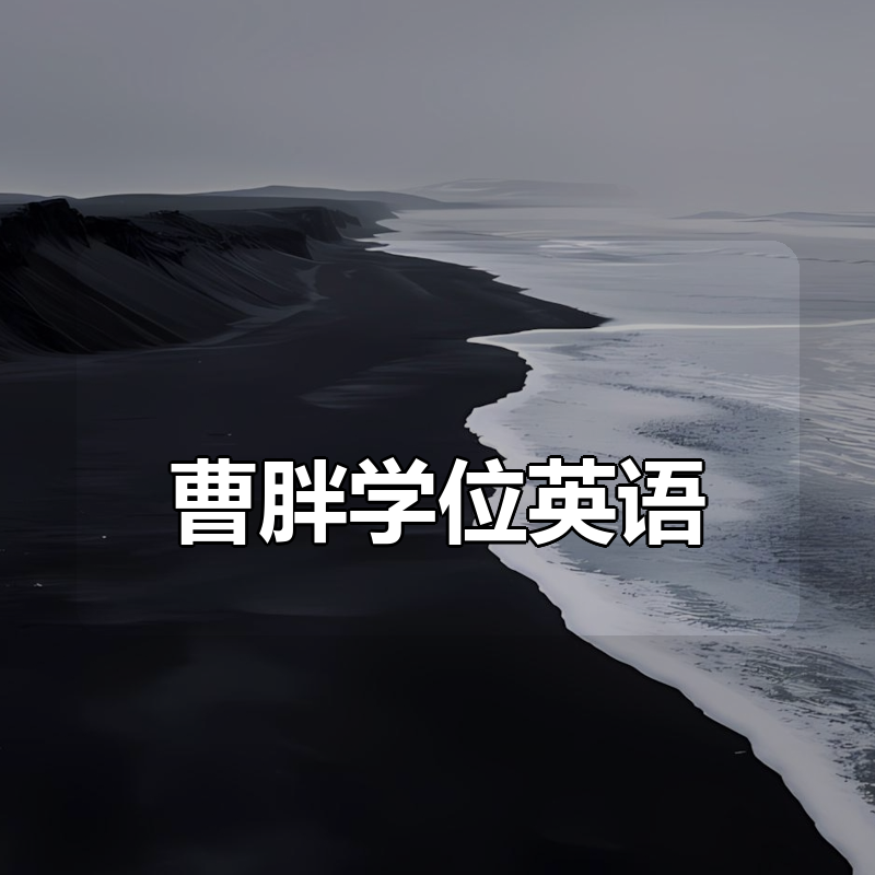 曹胖学位英语合集|shaocun资源站 - 你的知识成长补给站